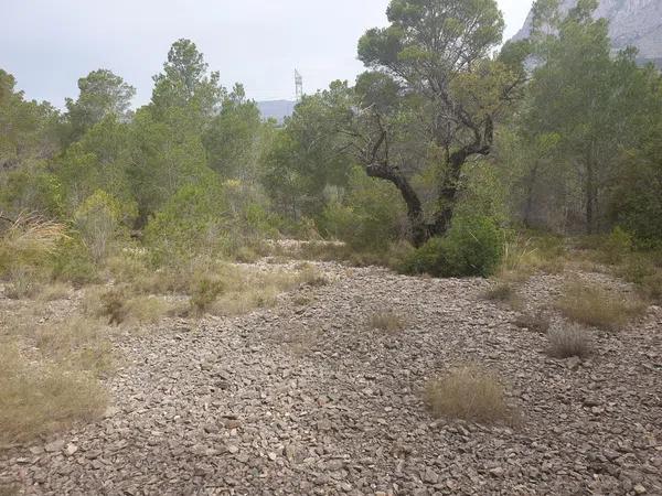 Terreno en Partida Carquendo s/n