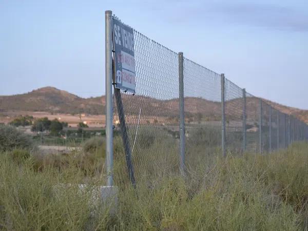 Terreno en carretera De Salinas a Sax s/n