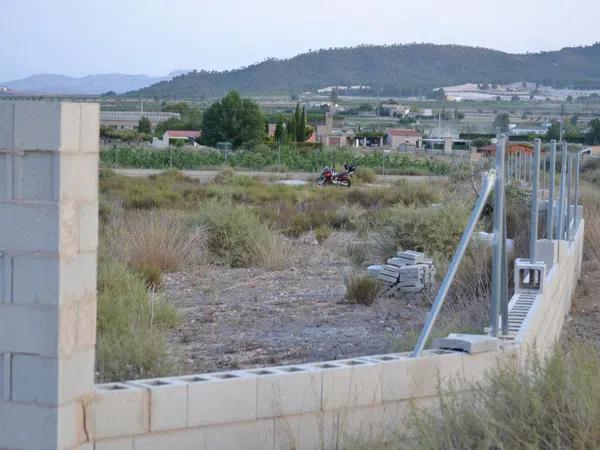 Terreno en carretera De Salinas a Sax s/n