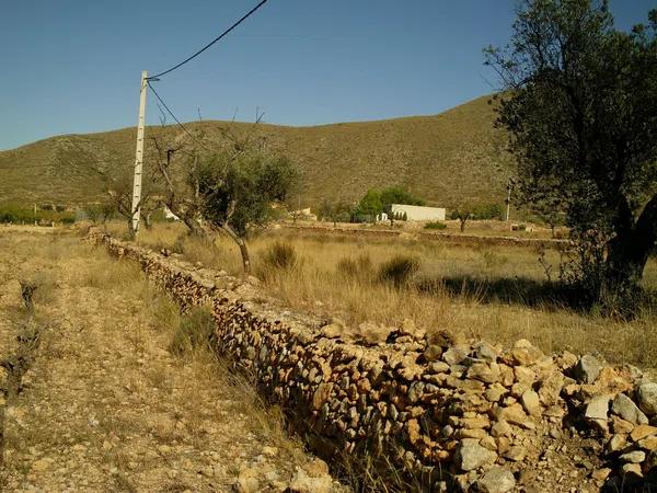 Terreno en carretera, km 35