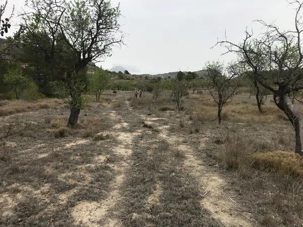 Terreno en paraje las macarobas, 7