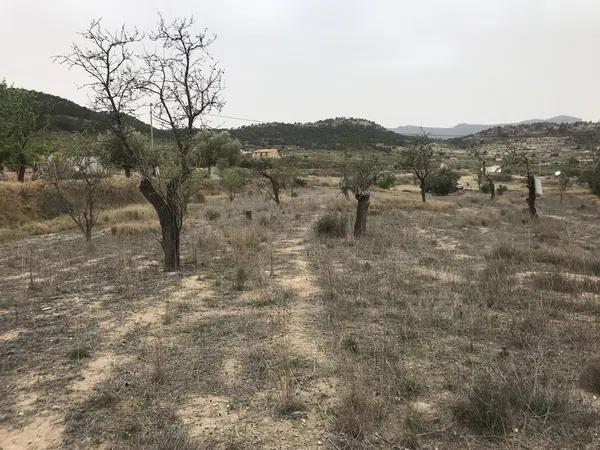 Terreno en paraje las macarobas, 7