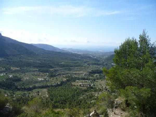 Terreno en Partida Charquer s/n