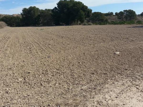 Terreno en urbanización Rebolledo, 26