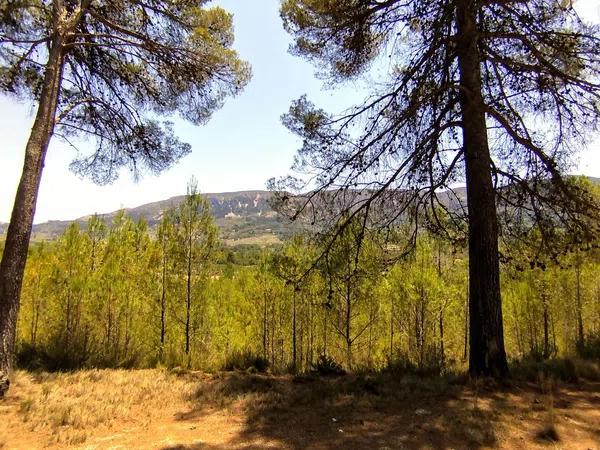 Terreno en Partida Casilla, km 5