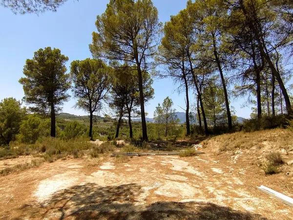 Terreno en Partida Casilla, km 5