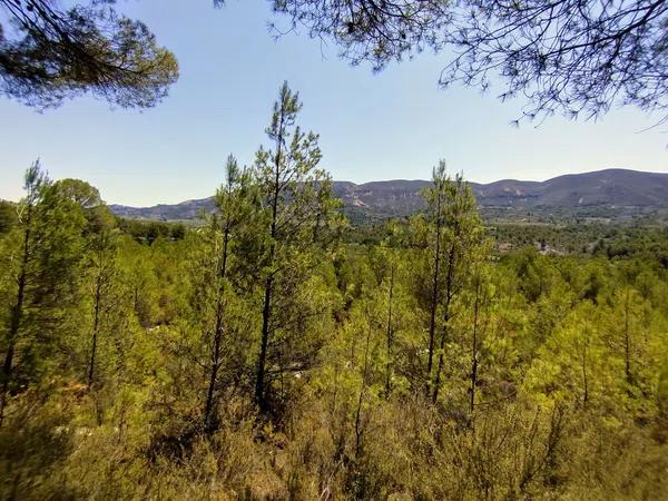 Terreno en Partida Casilla, km 5