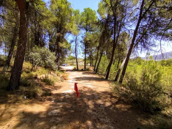 Terreno en Partida Casilla, km 5