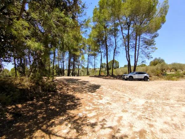 Terreno en Partida Casilla, km 5