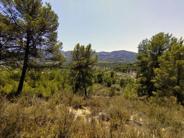 Terreno en Partida Casilla, km 5