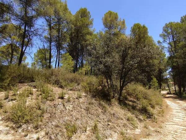 Terreno en Partida Casilla, km 5