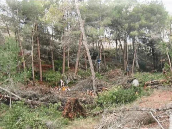 Terreno en Lugar Urbanizacion Montecasino, 1