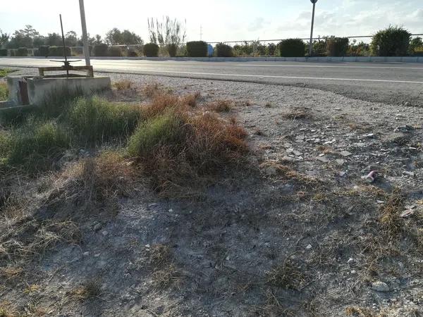 Terreno en avenida Guardamar s/n sn