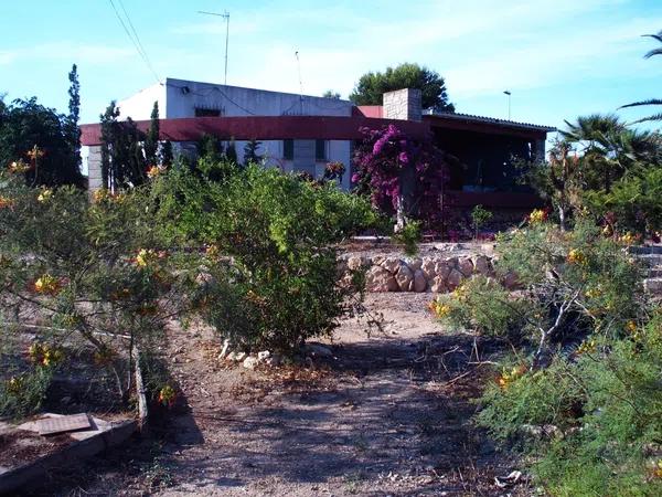 Terreno en Partida la Cruz, 19