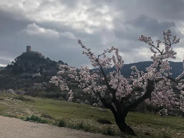 Terreno en Carret. Biar a Bañeres