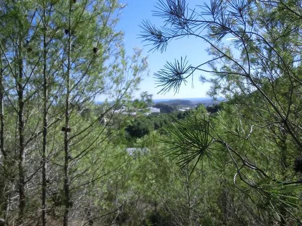 Terreno en calle del Fondo, km 5