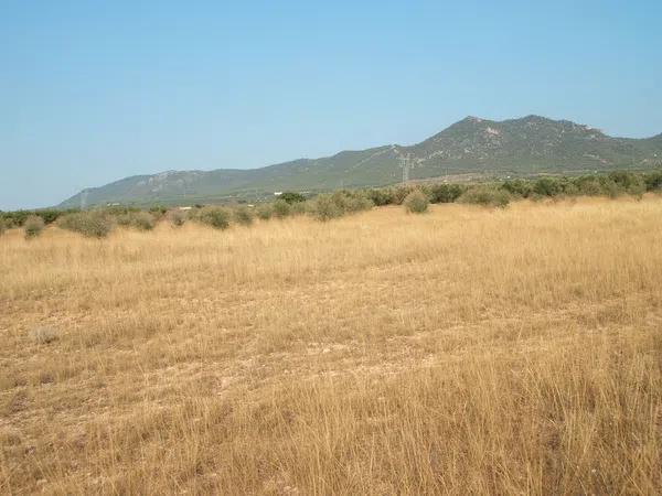 Terreno en la foia de biar