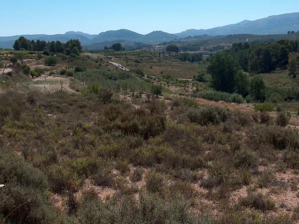 Terreno en camino de la Lloma, 4