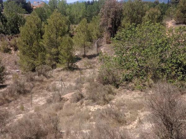 Terreno en camino de la Lloma, 4