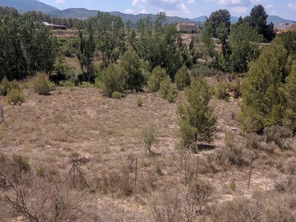 Terreno en camino de la Lloma, 4