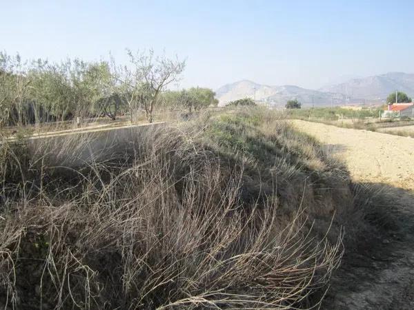 Terreno en Pedanías Oeste