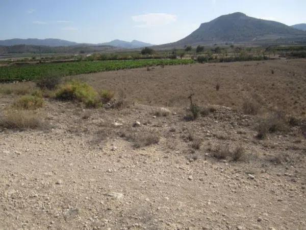 Terreno en La Romana