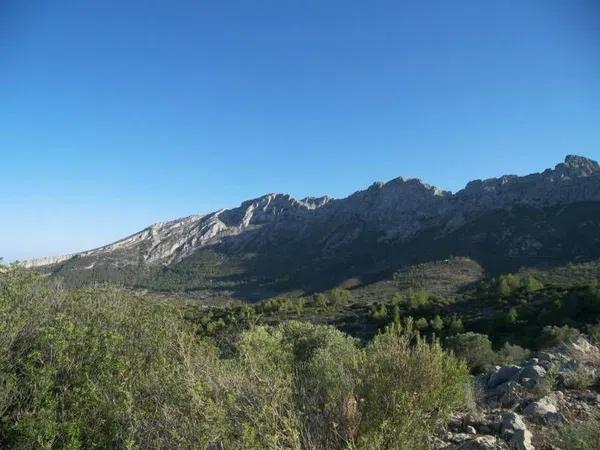 Terreno en Jalón