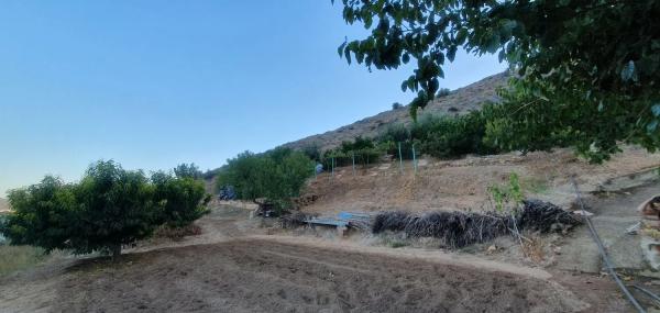 Casa de pueblo en calle de los Pinares