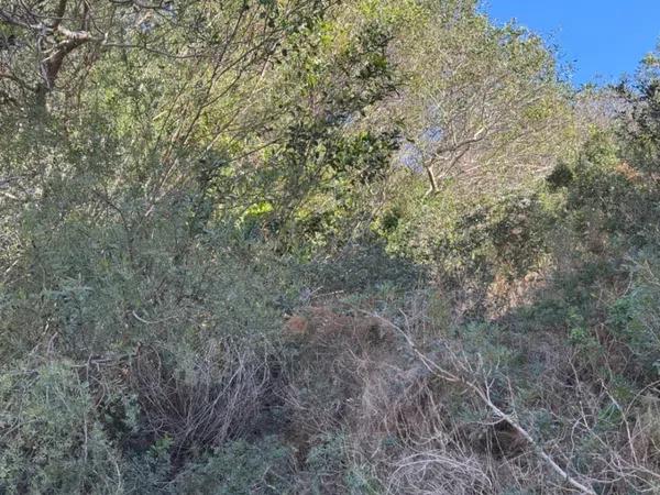 Terreno en Cumbre del Sol