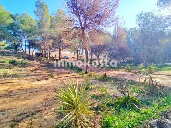 Terreno en Colonia Escandinavia-Cautivador