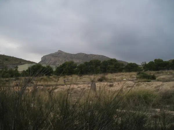 Terreno en Valle del Sol - Rio Park