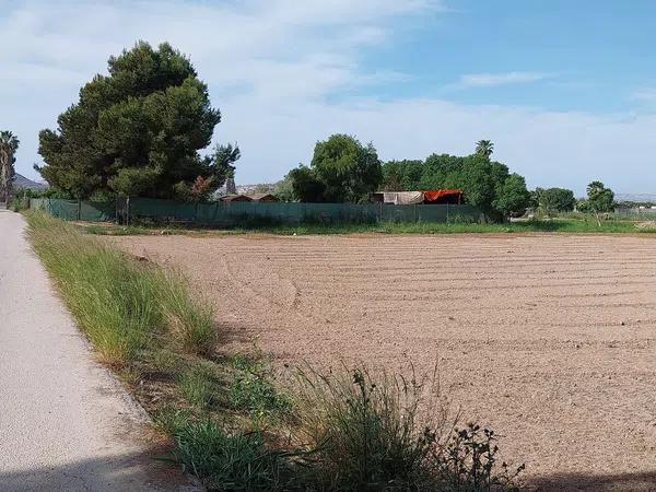 Terreno en Partida la Capitana