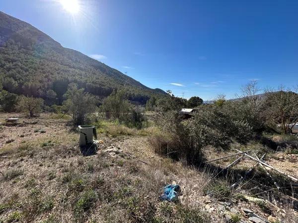 Terreno en Partida la Tapiada-umbria, km 6