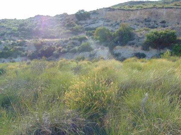 Terreno en Campello Pueblo