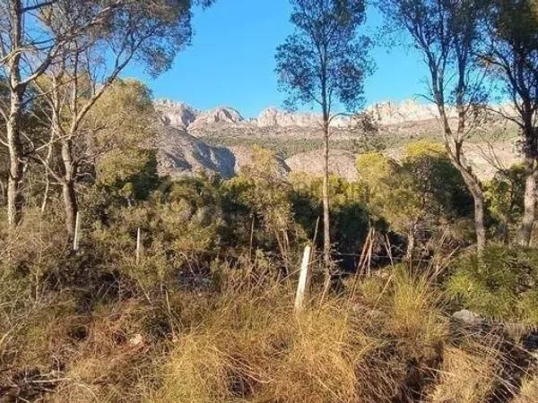 Terreno en Altea la Vella