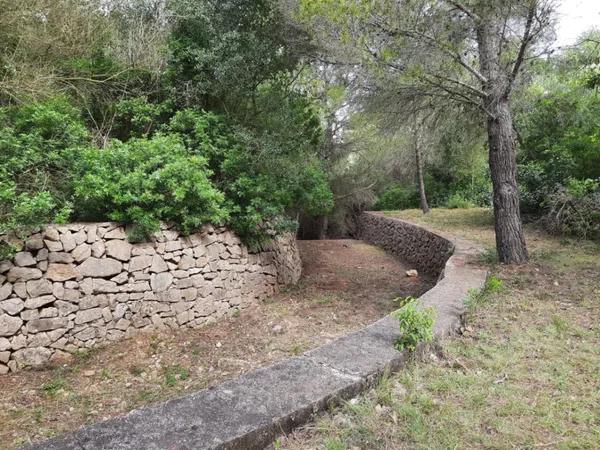 Terreno en calle Xiprer