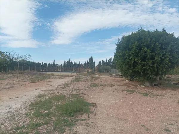 Terreno en La Murada-Los Vicentes