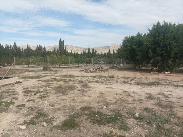 Terreno en La Murada-Los Vicentes