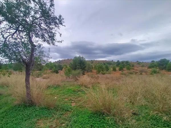 Terreno en villajoyosa