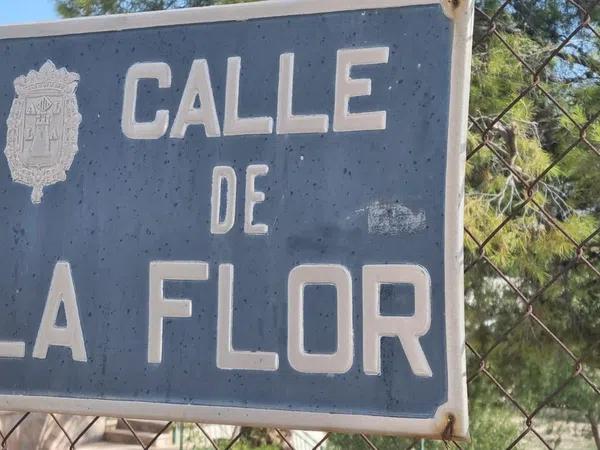 Terreno en calle Flor, 6