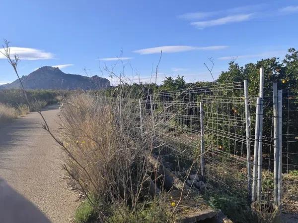 Terreno en La Xara - La Sella - Jesús Pobre