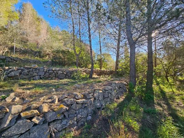 Terreno en El Montgó