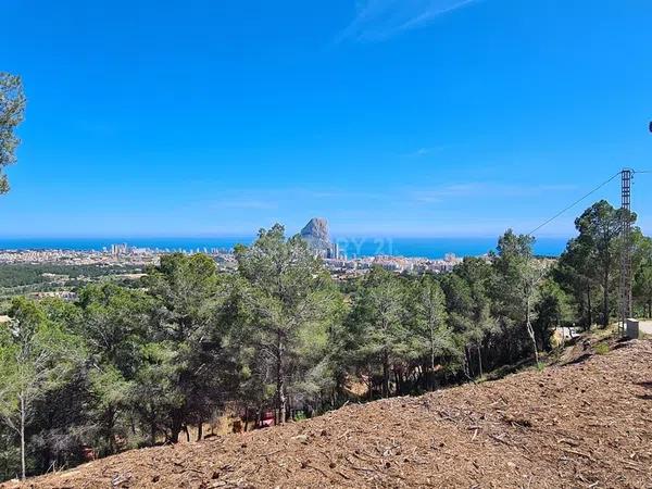 Terreno en Oltamar-Cucarres