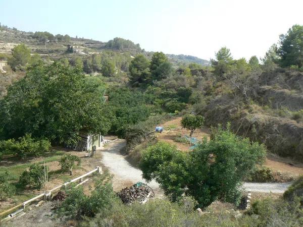 Terreno en camino del Quisi, km 2