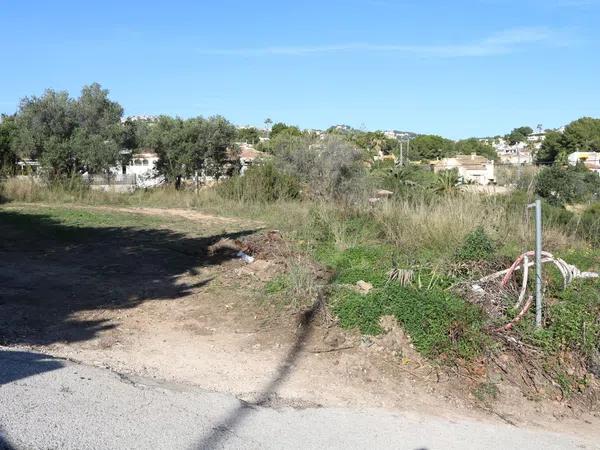 Terreno en calle Carpi