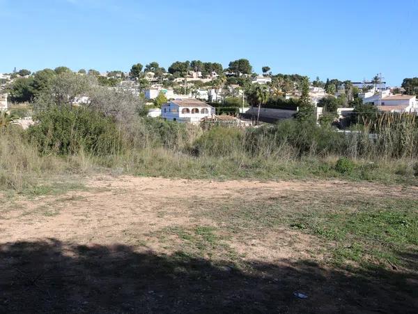 Terreno en calle Carpi