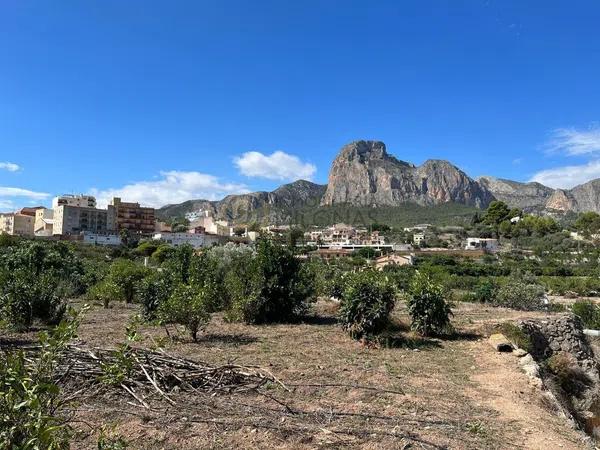 Terreno en Casco urbano