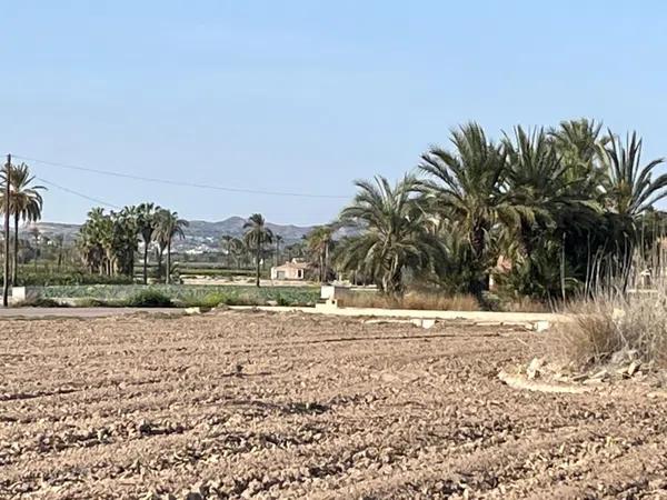 Terreno en Algoda-Matola-Llano de San José