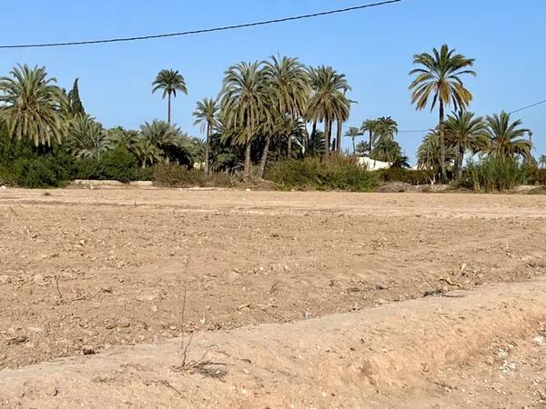 Terreno en Algoda-Matola-Llano de San José