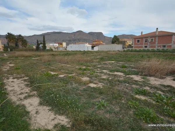 Terreno en Orihuela Ciudad